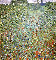 Poppy Field