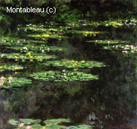Water-Lilies