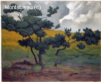 Paysage composé sous-bois