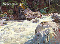 A Torrent in Norway