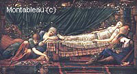Sleeping Beauty