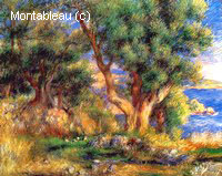 Landscape near Manton