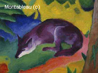 Blue-Black Fox