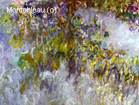 Wisteria (moitié gauche)