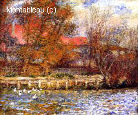 The Duck Pond