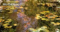 The Water-Lily Pond