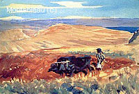 Hills of Galilee