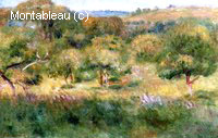 The Edge of the Forest in Brittany
