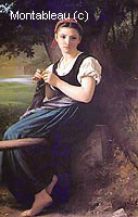 The Knitter