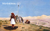 Prayer in the Desert