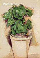 A Pot of Geraniums