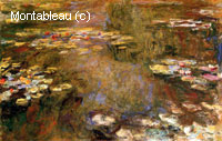 The Water-Lily Pond