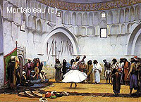 Whirling Dervishes