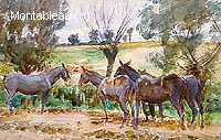 Mules