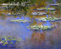 Water-Lilies