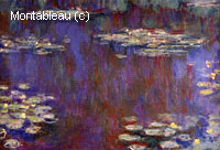 Water-Lilies