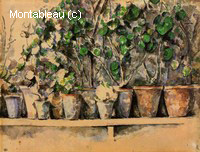 The Flower Pots
