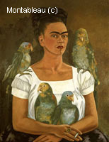 Me and My Parrots