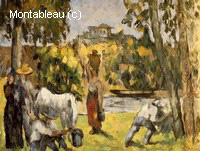 Life in the Fields
