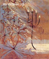 Winter - 2