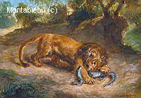 Lion and Cayman