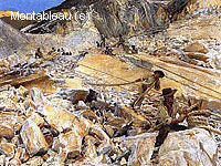 Bringing Down Marble from the Quarries in Carrara