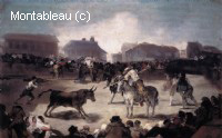 A Village Bullfight