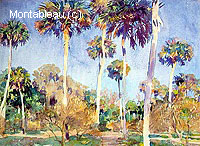 Palms