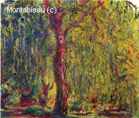 Weeping Willow