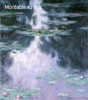 Water-Lilies