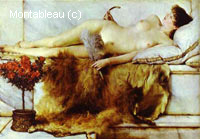 The Tepidarium