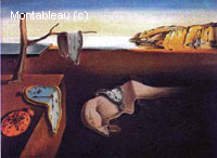 The Persistence of Memory