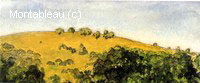 Paysage