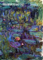 Water-Lilies