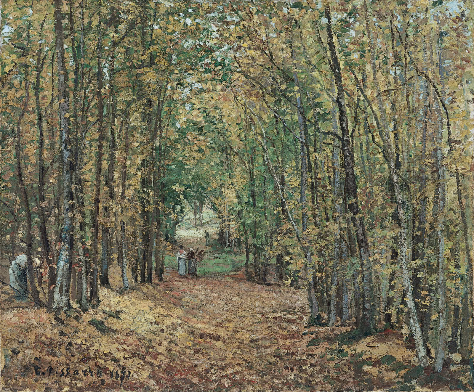 Forêt de Marly
