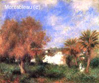 The Garden of Essai at Algiers