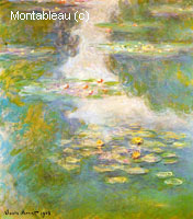 Water-Lilies