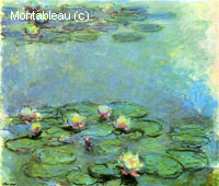 Water-Lilies