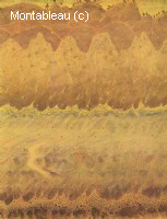 Sonata of the sea - Allegro