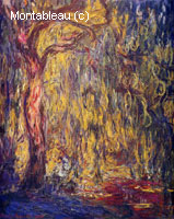 Weeping Willow