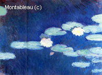 Water-Lilies
