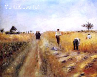 The Harvesters