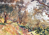 Trees on a Hillside at Majorca