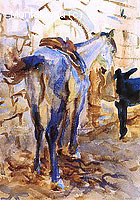 Saddle Horse Palestine