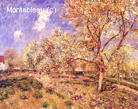 Spring at Veneux