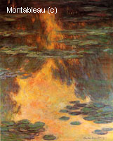 Water-Lilies