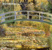 Water-Lily Pond