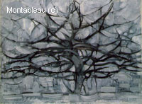 Gray Tree