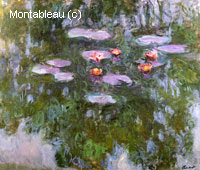 Water-Lilies
