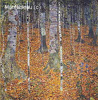 Birch Forest